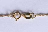 Lisht (1997),  - Colar de ouro 18k, contraste 750, pingente com Nossa Senhora aparecida com safiras azuis e brilhantes  (Por motivos de segurança a peça não se encontr