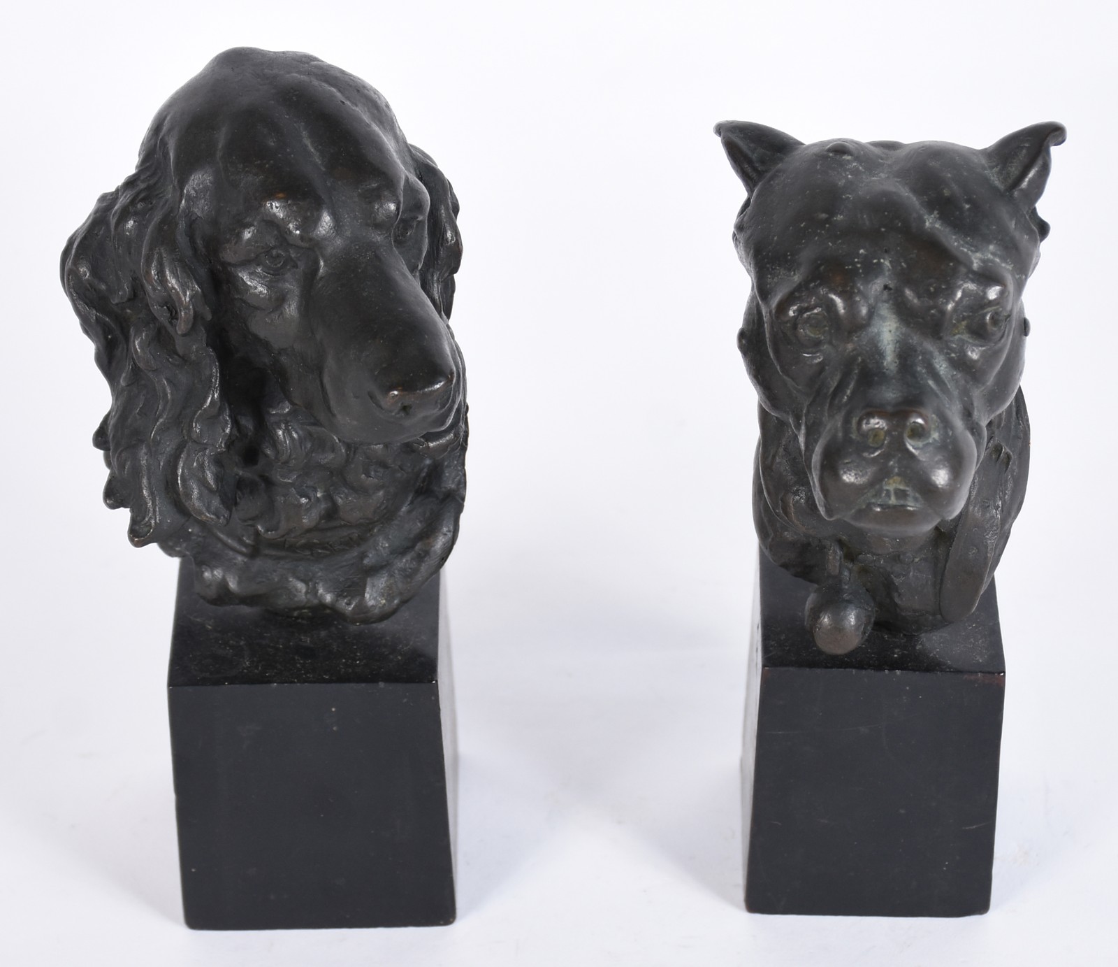 Thomas Cartier (1879-1943), Cachorros - foto 2 de 4
