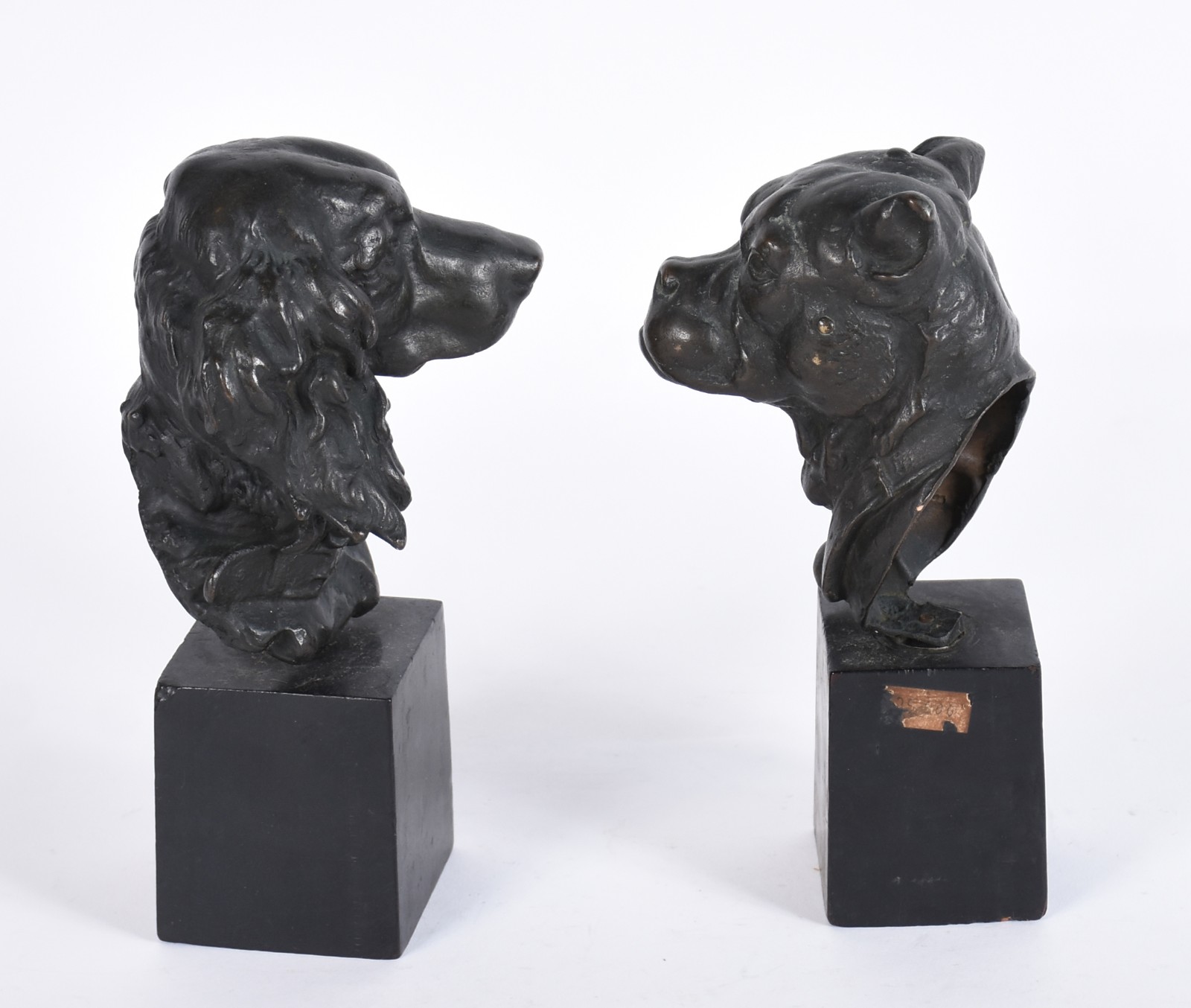 Thomas Cartier (1879-1943), Cachorros - foto 3 de 4