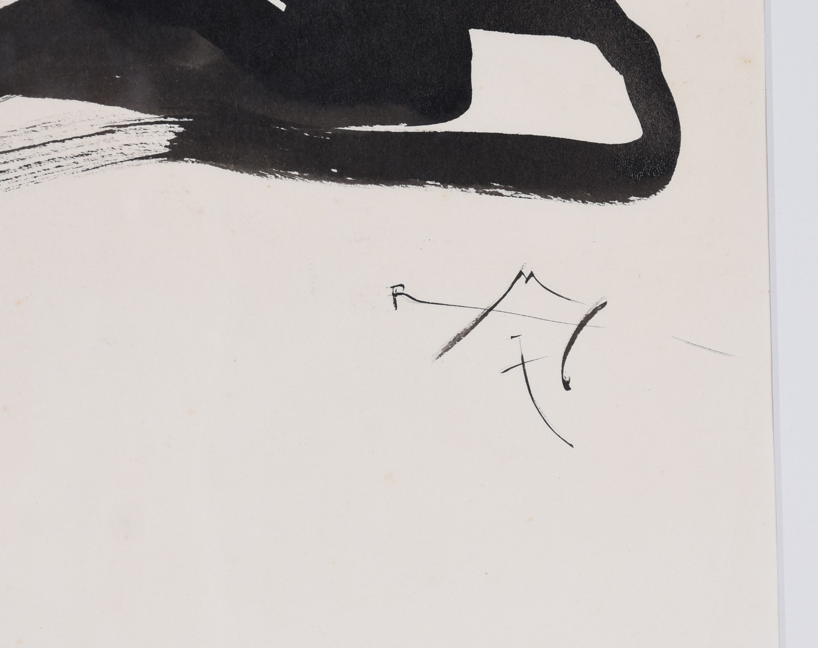 Roberto Magalhães (1940), Gato - foto 2 de 3