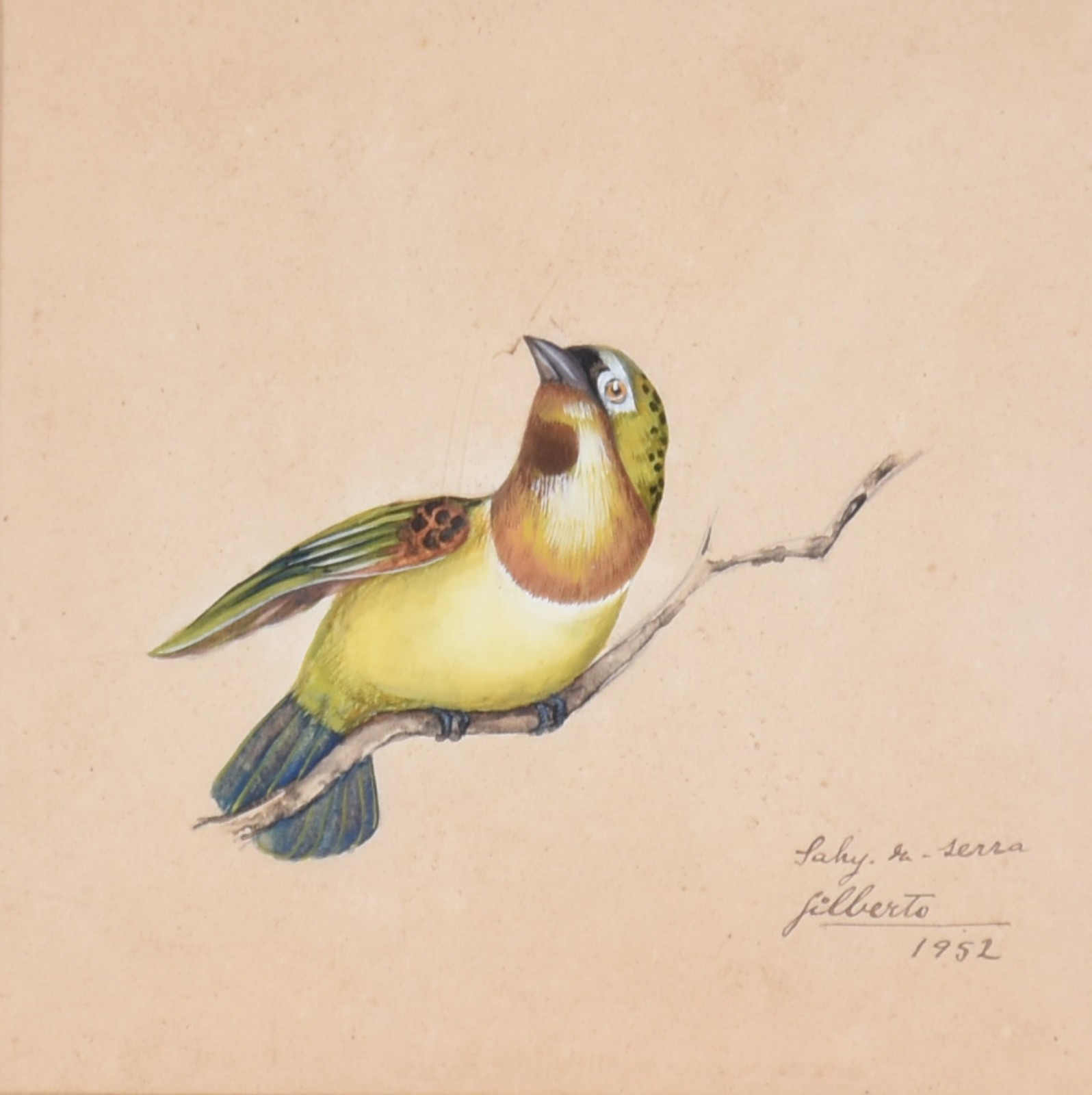 Gilberto Trompowsky (1908-1982), Pássaro - foto 1 de 4