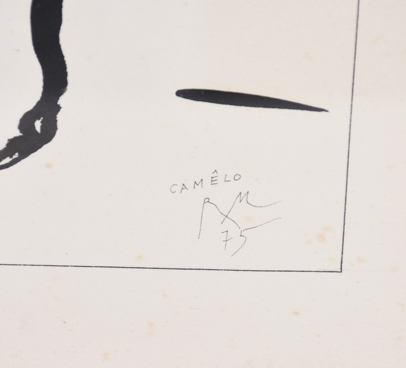 Roberto Magalhães (1940), Camêlo - foto 3 de 4
