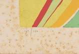 Maria Polo (1937-1983),  - Gravura 149/150, com fungo.