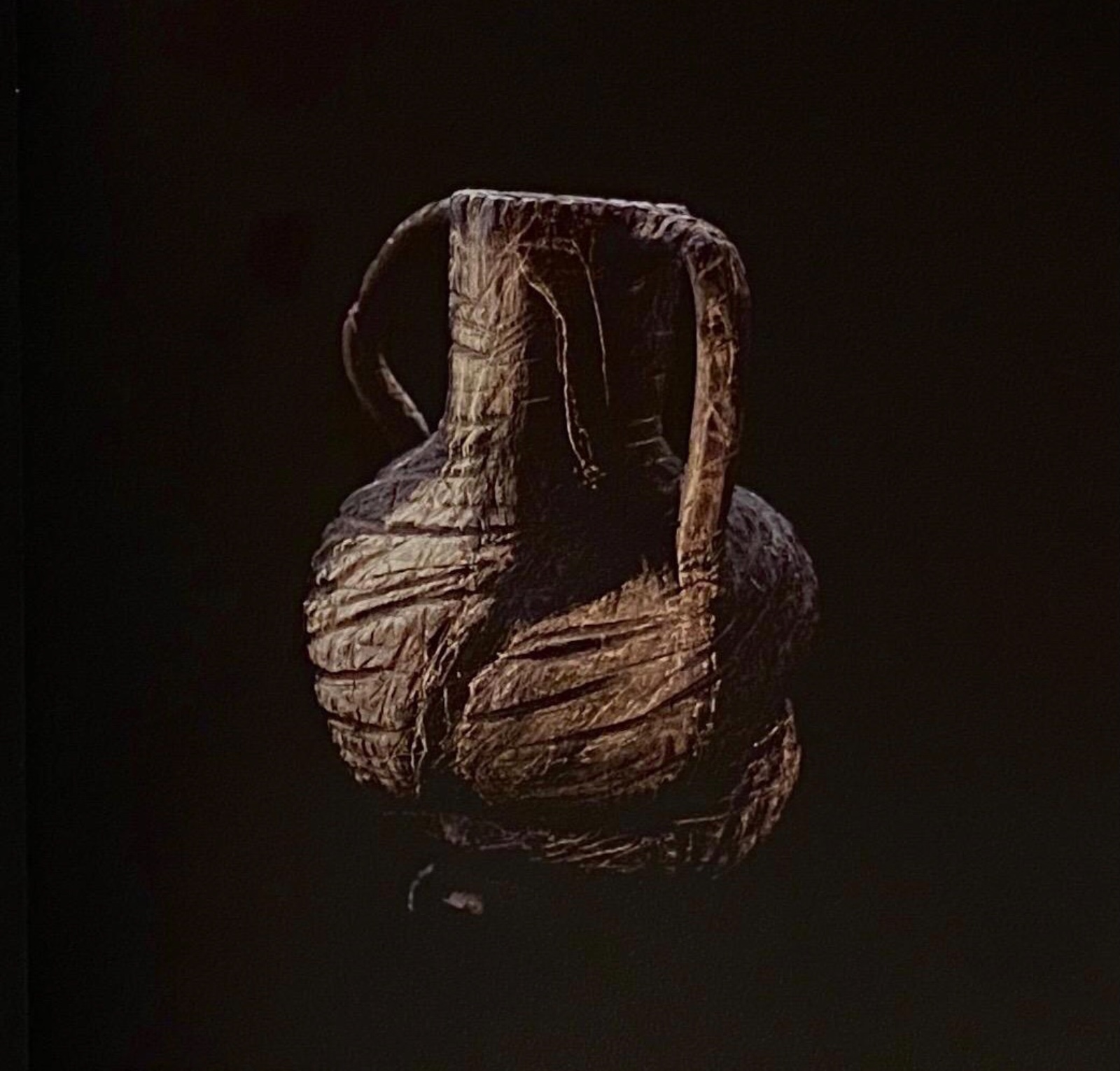 Miquel Barceló (1957), Les oignons noirs - foto 1 de 8