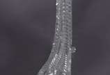 Floreiro de cristal francês lapidado na forma d... - Floreiro de cristal francês lapidado na forma de cornucópia, possivelmente Baccarat.