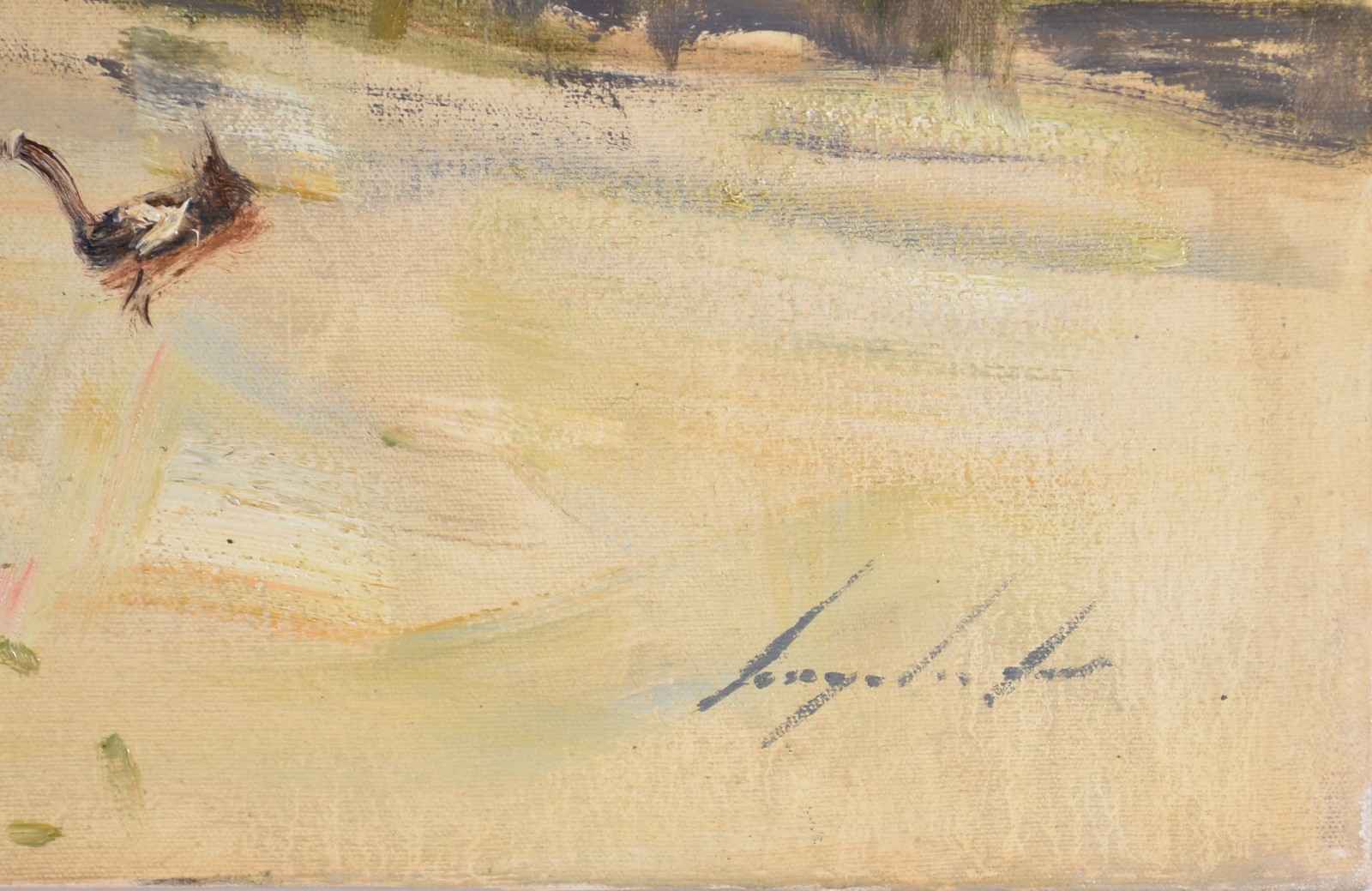 Virgílio Dias (1956), Campo de Santana - foto 2 de 3
