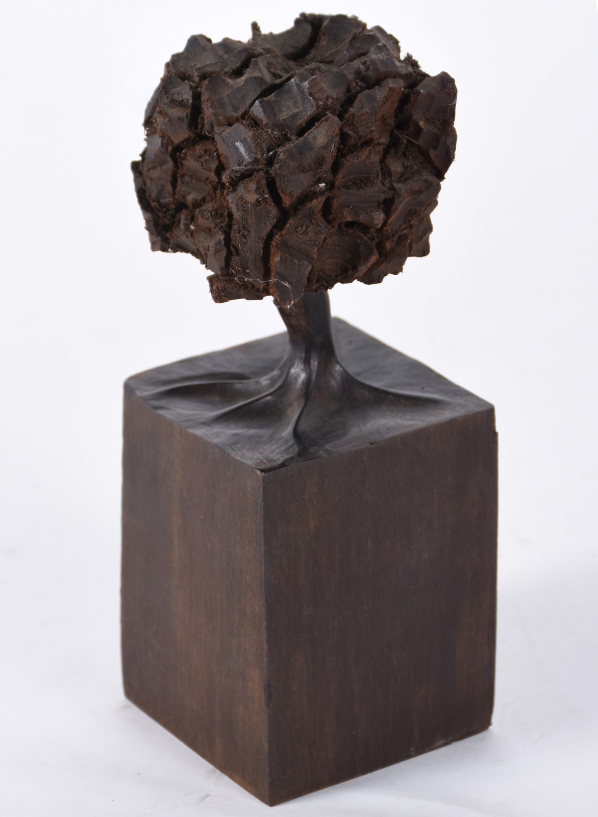 José Bento (1962), Árvore - foto 1 de 5