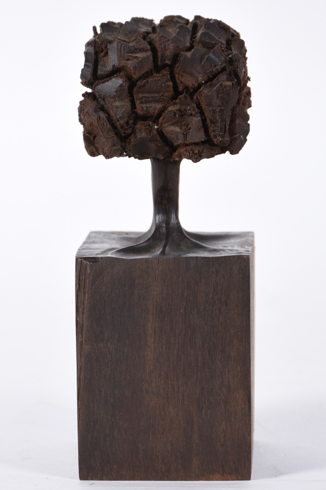 José Bento (1962), Árvore - foto 2 de 5