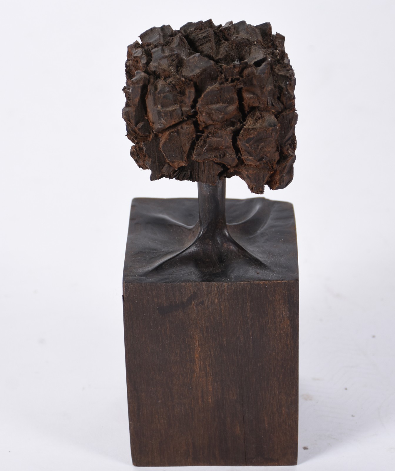 José Bento (1962), Árvore - foto 3 de 5