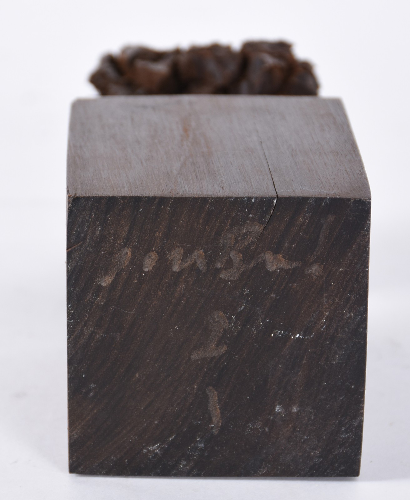 José Bento (1962), Árvore - foto 5 de 5