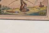 Jean-Baptiste Debret (1768-1848), Caboclo - Obra <strong>atribuída </strong>a Jean-Baptiste Debret. Litografia aquarelada.
