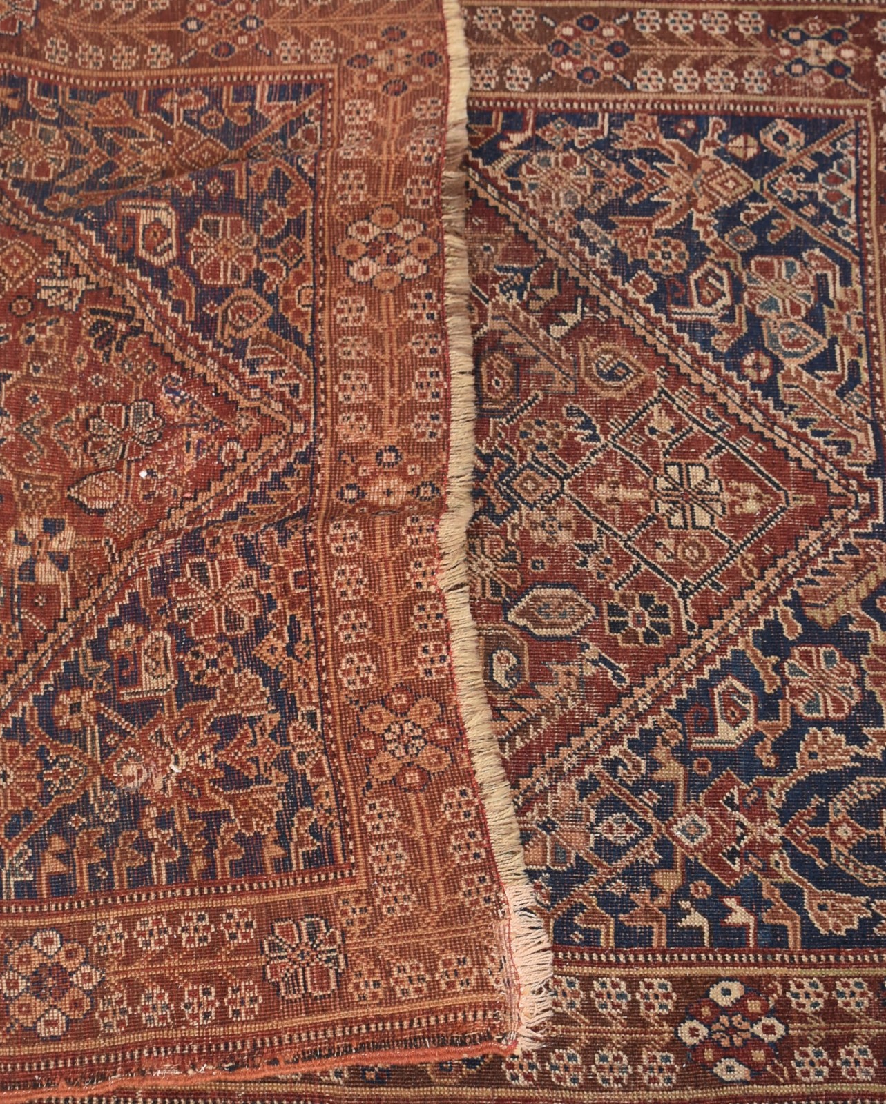 Tapete Afshar - foto 2 de 3