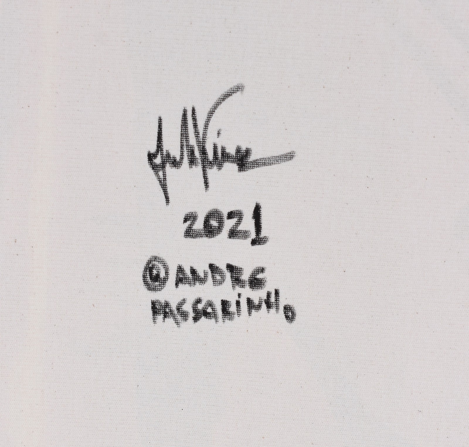 André Passarinho, Ne - foto 3 de 3