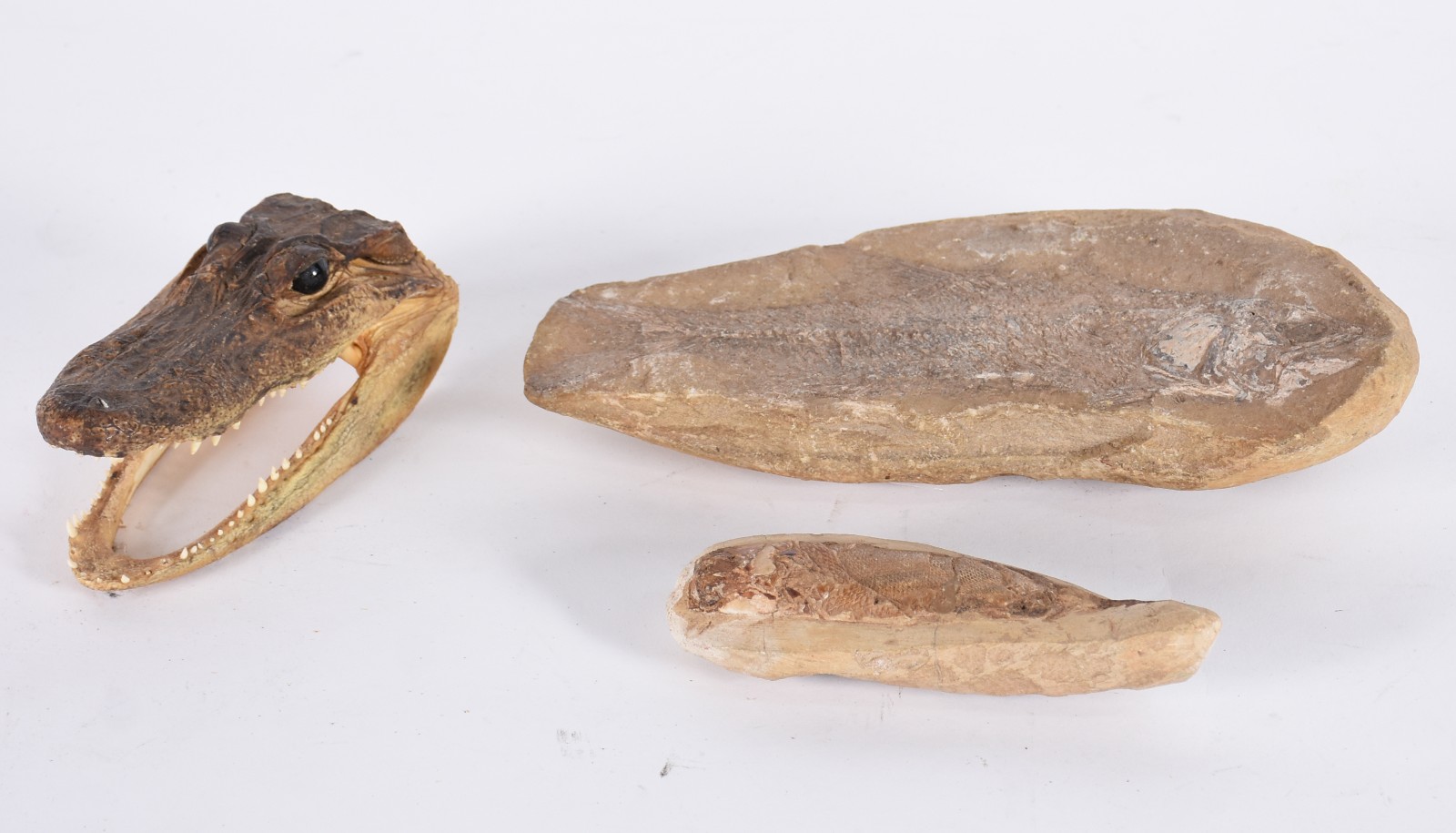 Diversas peças, sendo: duas esculturas com figuras de peixes e uma... - foto 1 de 5
