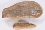 Diversas peças, sendo: duas esculturas com figu... - Diversas peças, sendo: duas esculturas com figuras de peixes e uma taxidermia com cara de jacaré.