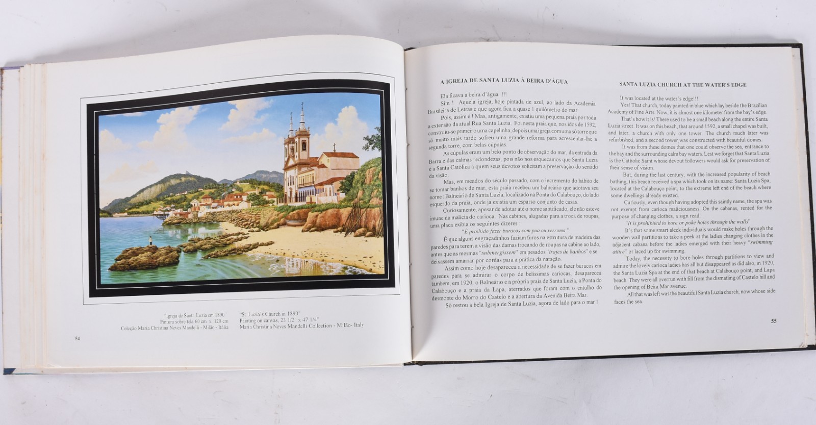 Dois livros: A) Rio Antigo - Camões B) Heitor Dos Prazeres. - foto 11 de 11