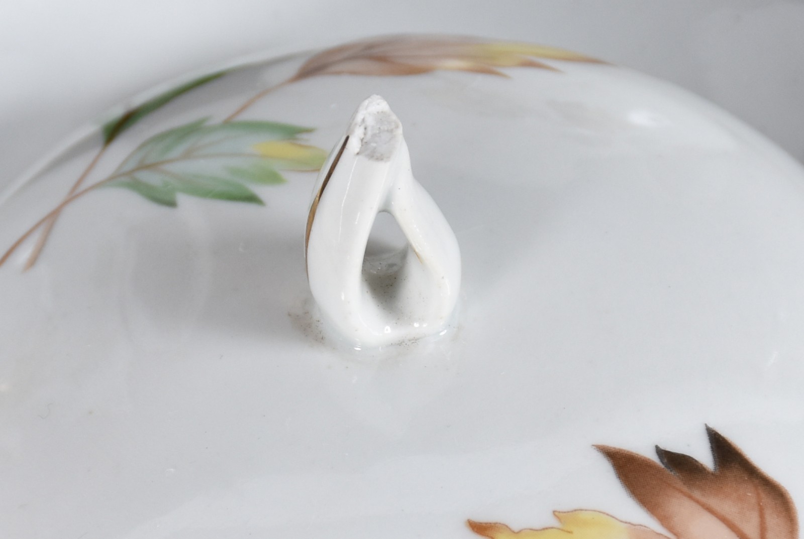 Aparelho de jantar, chá e café de porcelana Real com flores e folhas... - foto 9 de 11