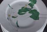 Serviço de jantar de porcelana Roberto Simões c... - Serviço de jantar de porcelana Roberto Simões composto de: 12 pratos rasos, 12 pratos fundos, 12 pratos de sobremesa e 9 xícaras de café com pir...