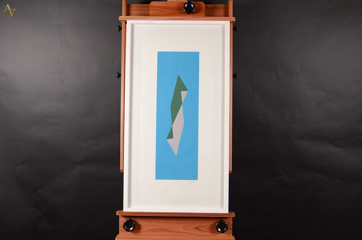 VOLPI - S/título - serigrafia - 72 x 24. (não apresenta tiragem) - foto 2 de 2
