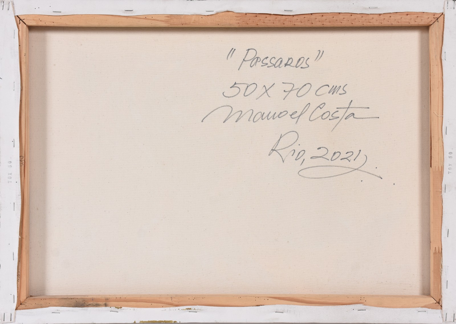 Manoel Costa (1943), Pássaros - foto 2 de 2