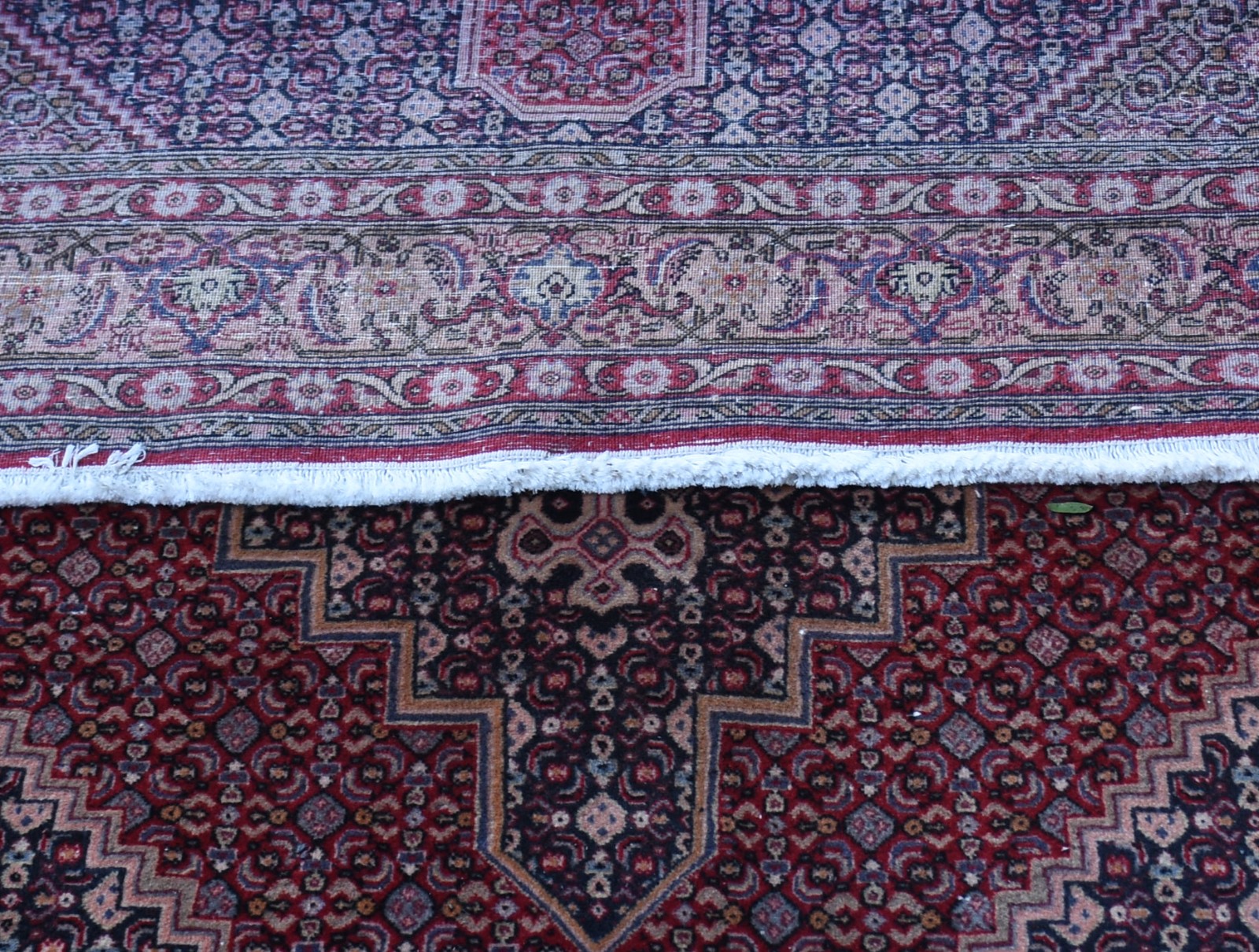 Tapete Bidjar (1801) - foto 2 de 3