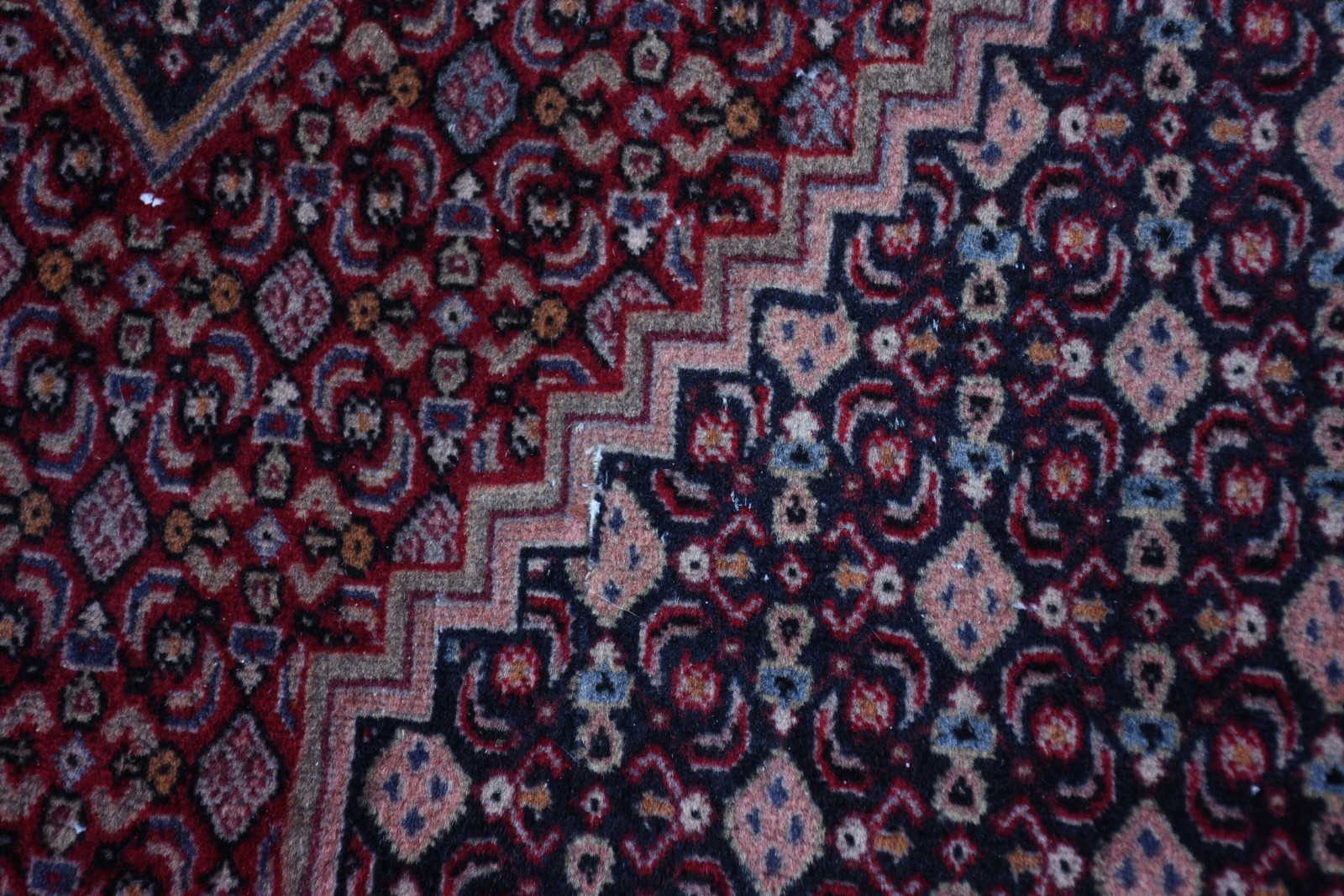 Tapete Bidjar (1801) - foto 3 de 3