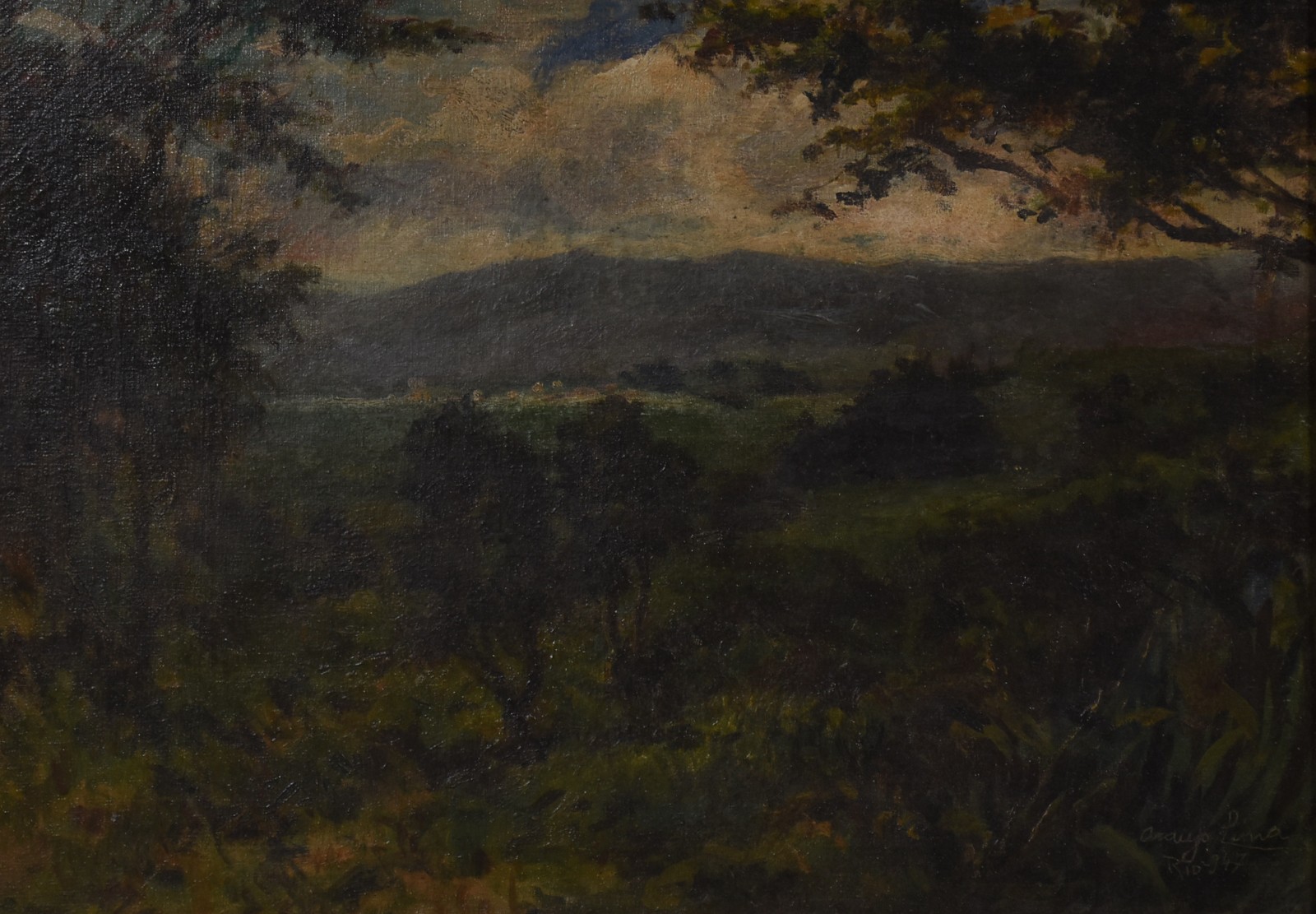 Paisagem Da Mata Atlântica - foto 1 de 4
