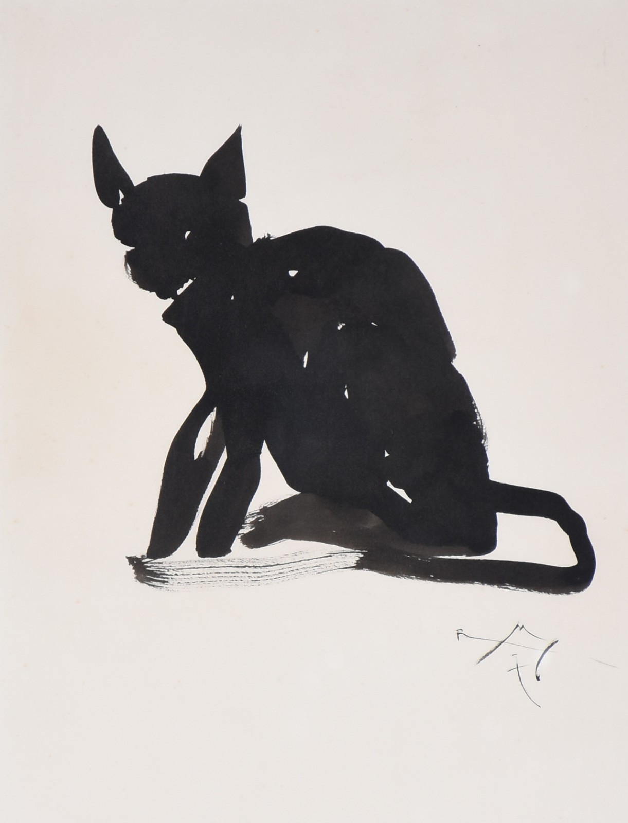 Roberto Magalhães (1940), Gato - foto 1 de 4