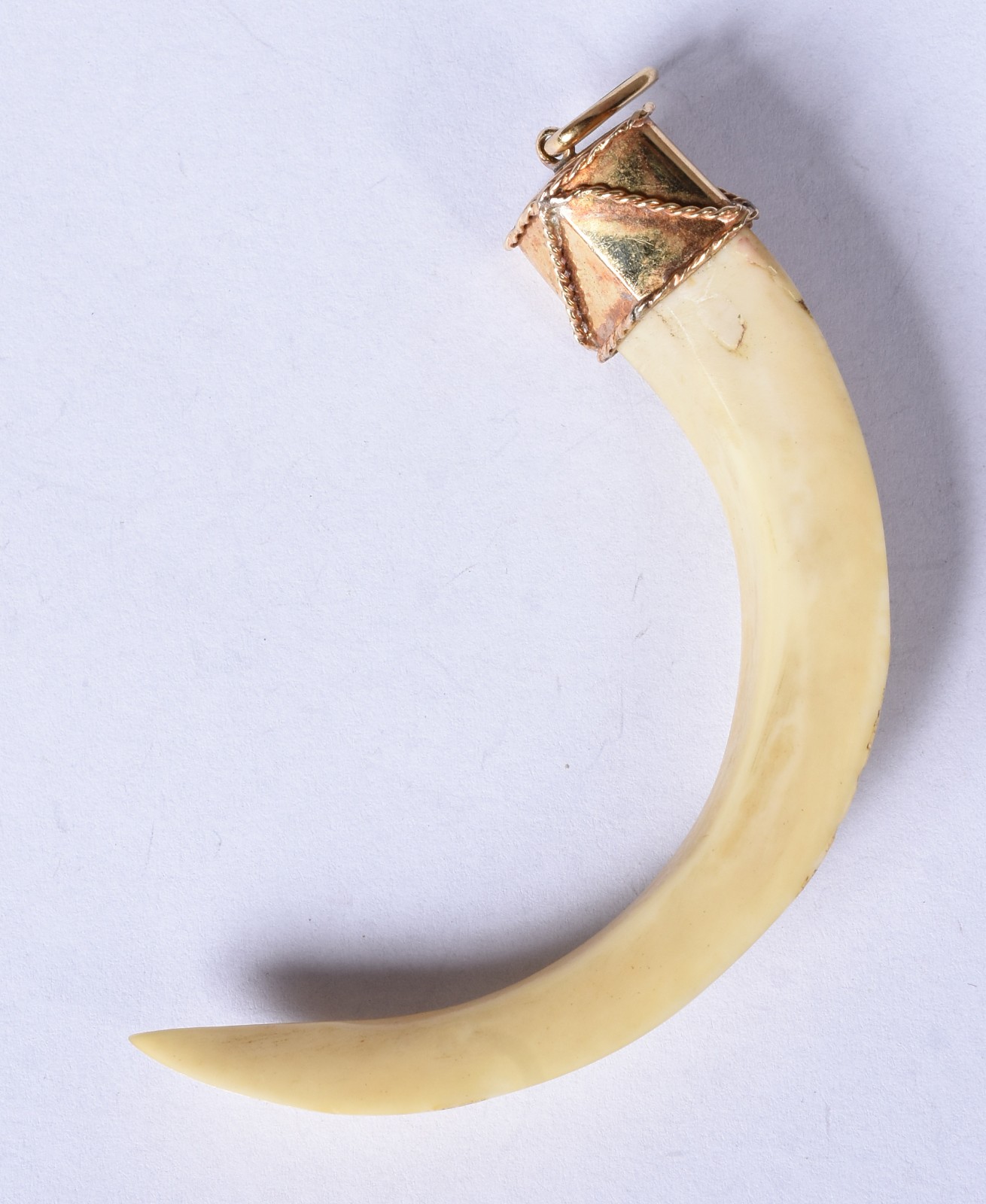 Dente de marfim com detalhe em ouro. - foto 1 de 3