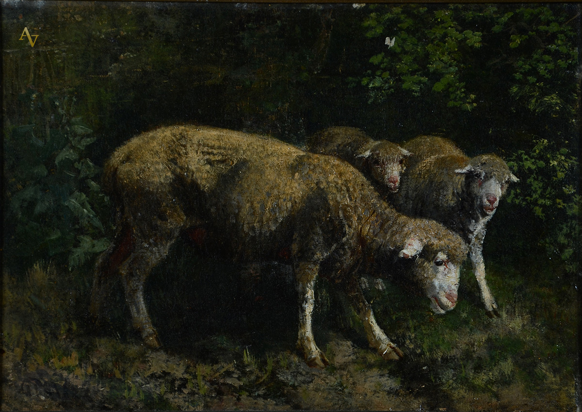 PALIZI - Carneiros - ost - 35 x 26. - foto 1 de 2