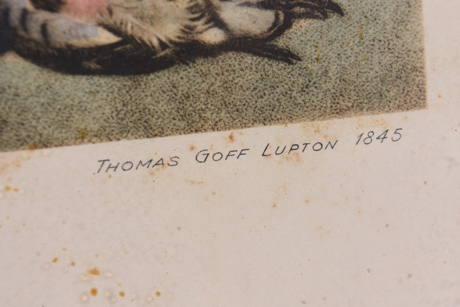 Par de gravuras com motivos de caça. "Thomas Goff Lupton, 1845" - foto 3 de 4