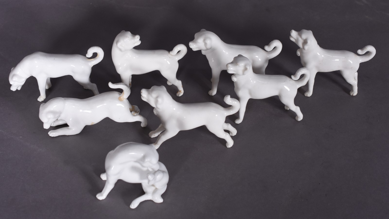 Oito miniaturas de cães de porcelana (1 com perna colada). - foto 2 de 6