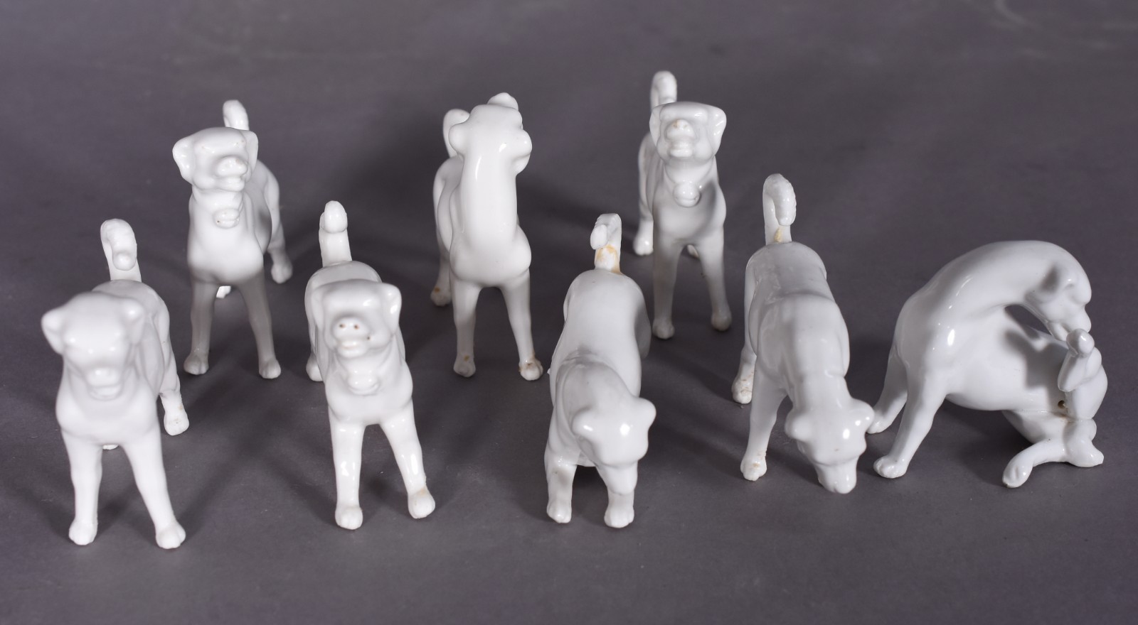 Oito miniaturas de cães de porcelana (1 com perna colada). - foto 3 de 6