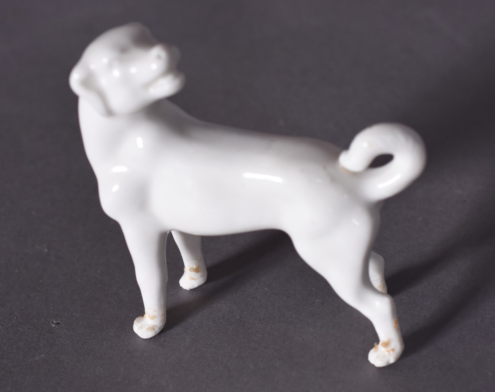 Oito miniaturas de cães de porcelana (1 com perna colada). - foto 4 de 6