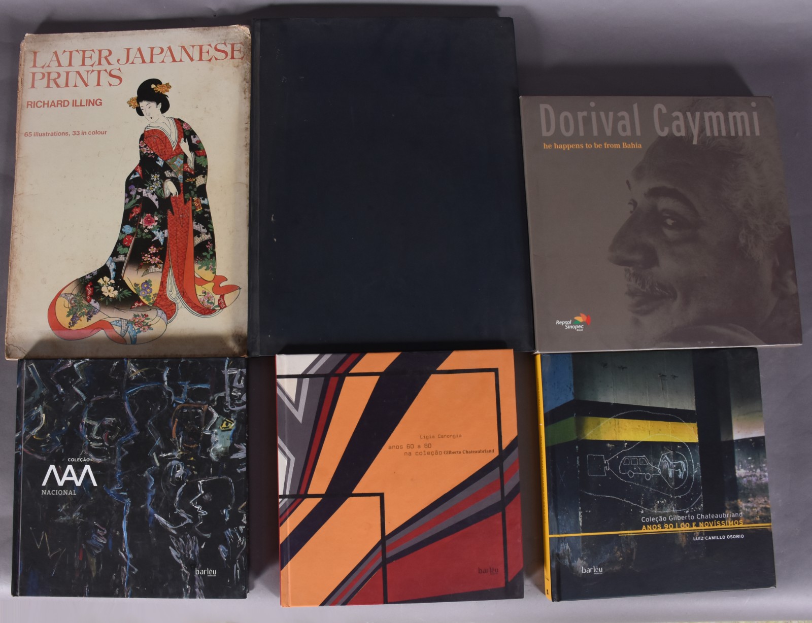 Seis livros diversos: A) Coleção Gilberto Chapeaubriand - Luiz Camilo... - foto 1 de 6