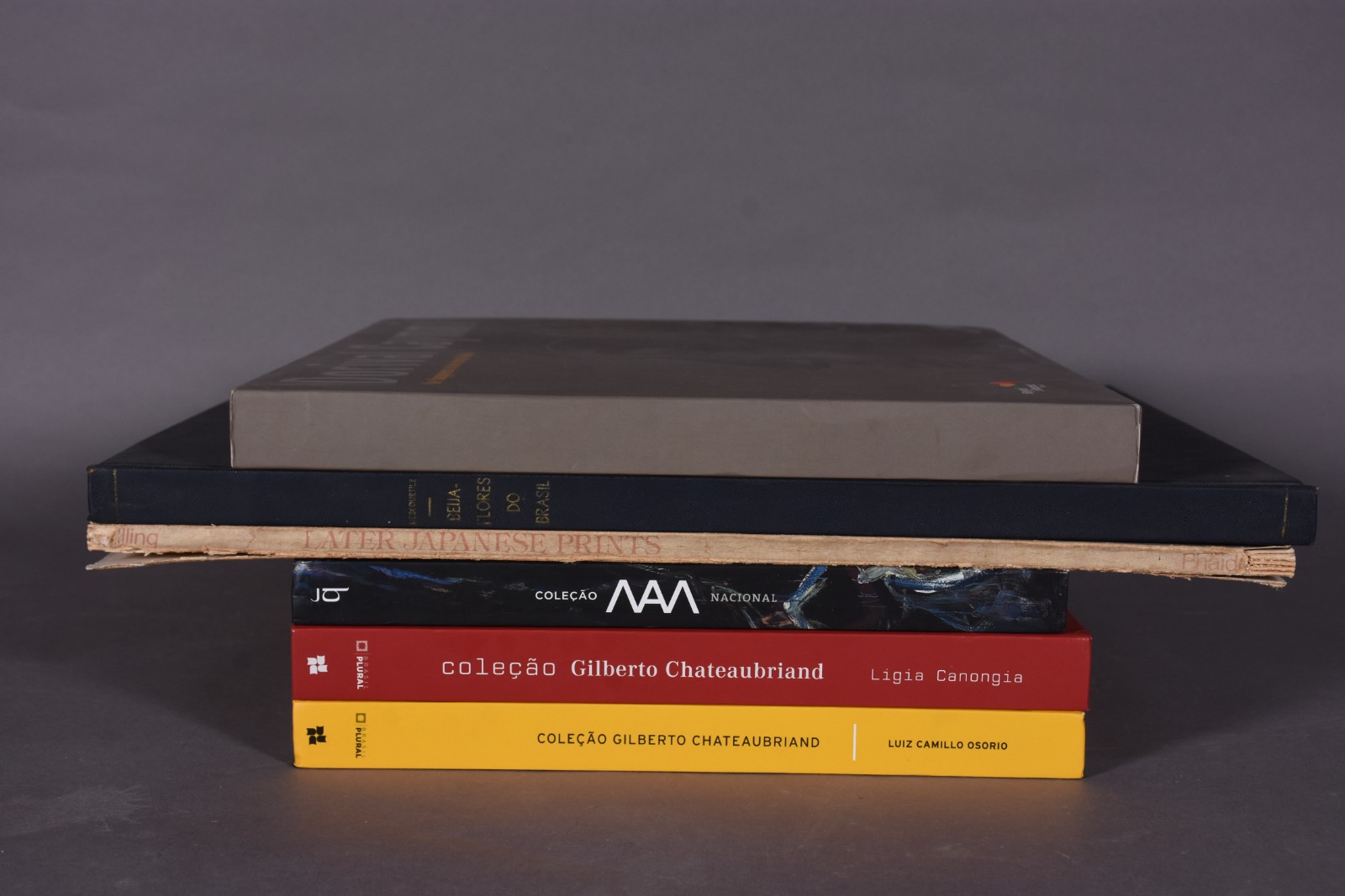Seis livros diversos: A) Coleção Gilberto Chapeaubriand - Luiz Camilo... - foto 4 de 6