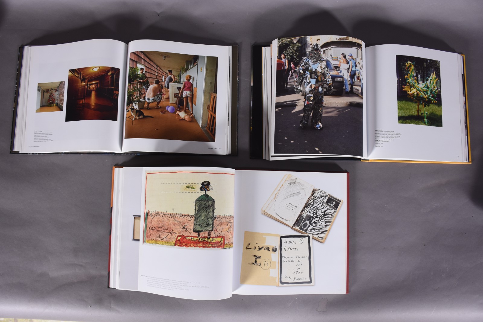 Seis livros diversos: A) Coleção Gilberto Chapeaubriand - Luiz Camilo... - foto 5 de 6
