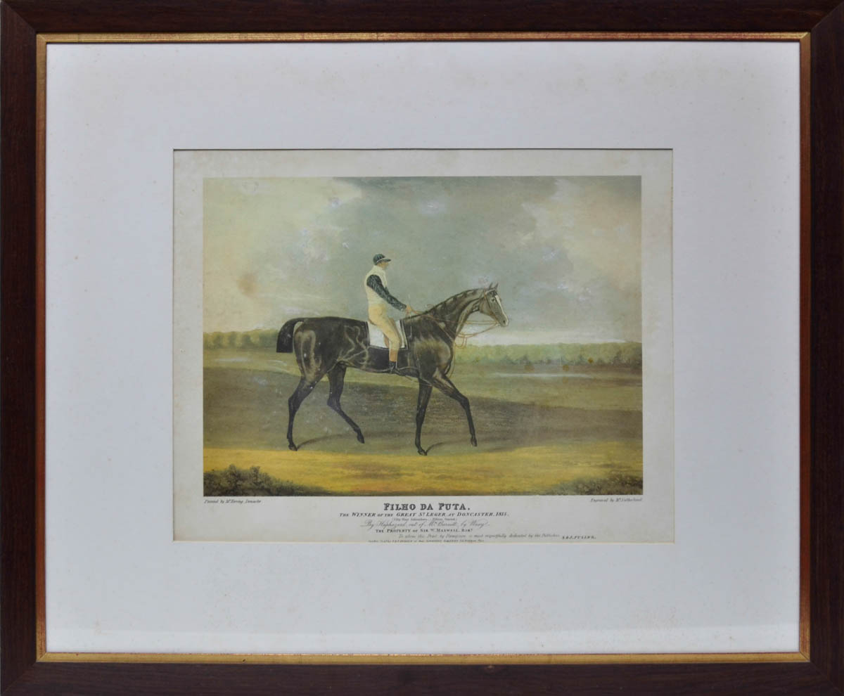 Gravura inglesa repres. cavalo "Filho da Puta" - med. 38 x 41.