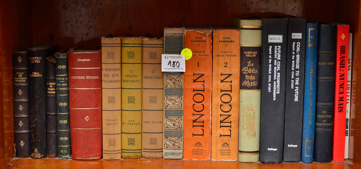 Dezoito livros diversos.