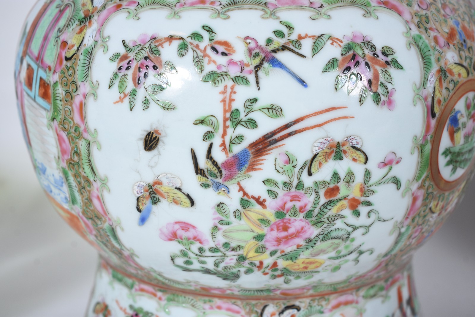 Cia das Índias (1481) - foto 5 de 6