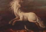 Orlando Teruz (1902-1984), Cavalo - Óleo sobre tela - datado 1982.