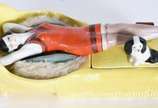 Saboneteira ART DECO de porcelana policromada n... - Saboneteira ART DECO de porcelana policromada na forma de figura feminina e cachorro sobre recamier.