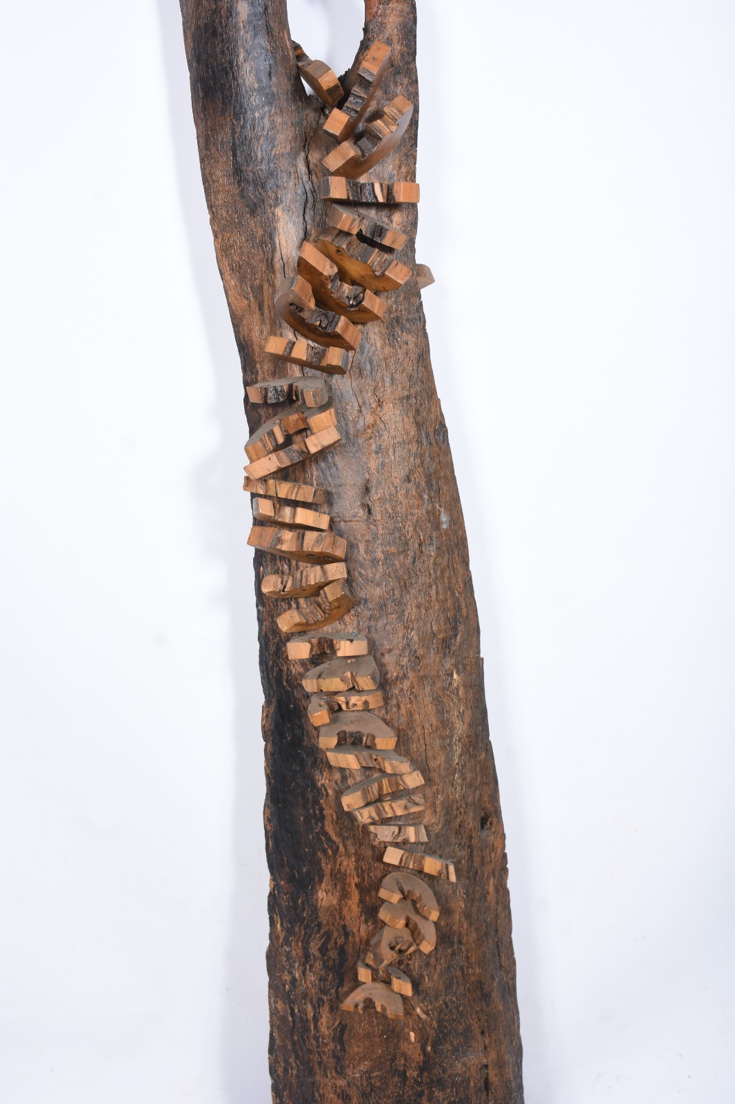 Escultura de pé feita por aproveitamento de tronco de árvore, frente... - foto 7 de 9