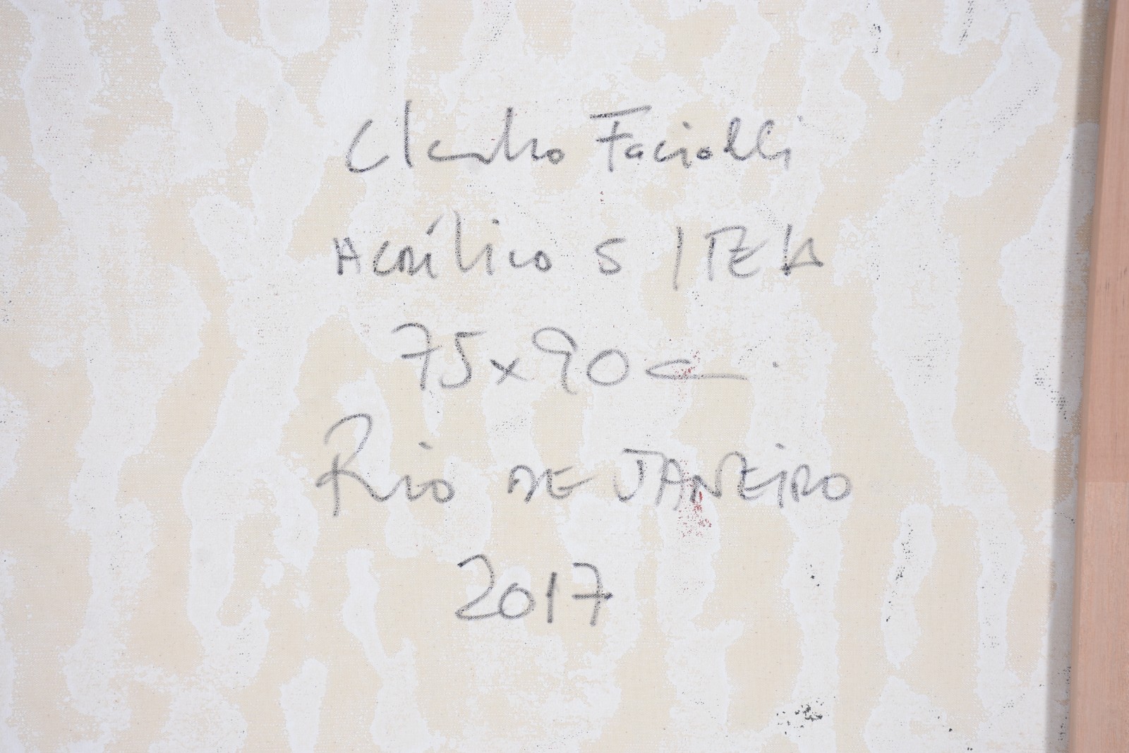 Cláudio Faciolli (1955) - foto 5 de 5