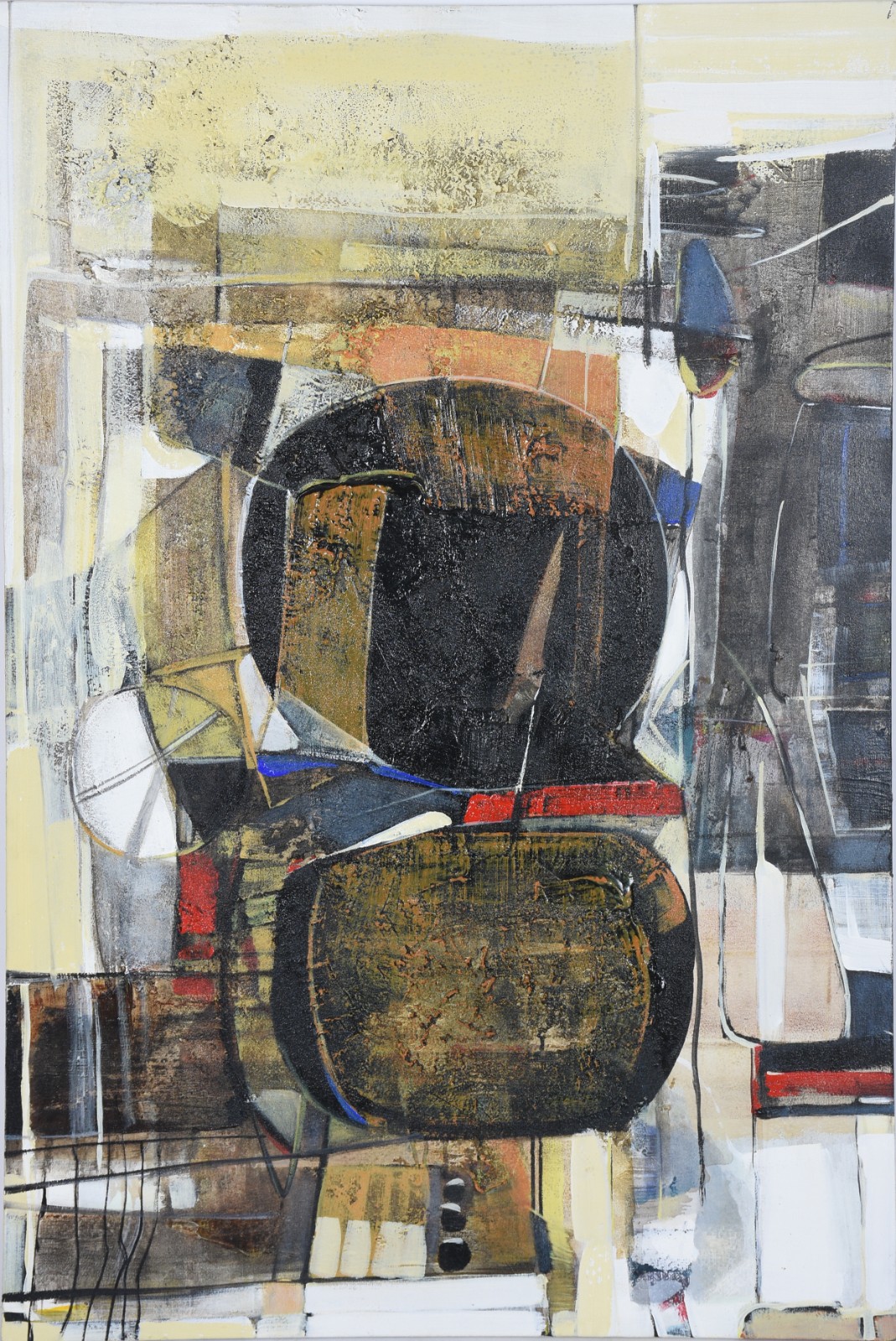 Bernardii (1949), Improviso - foto 1 de 3