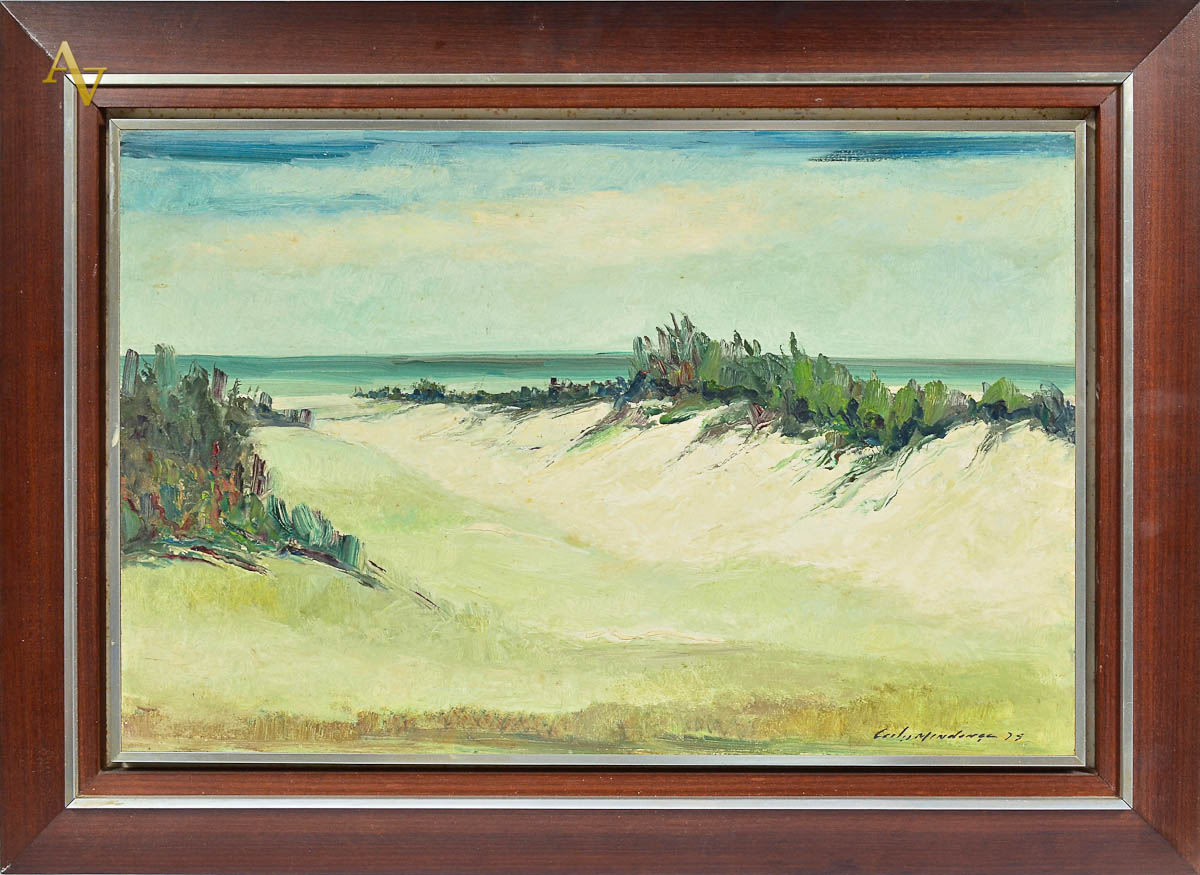 CARLOS MENDONÇA - Marinha - ost - 54 x 44.