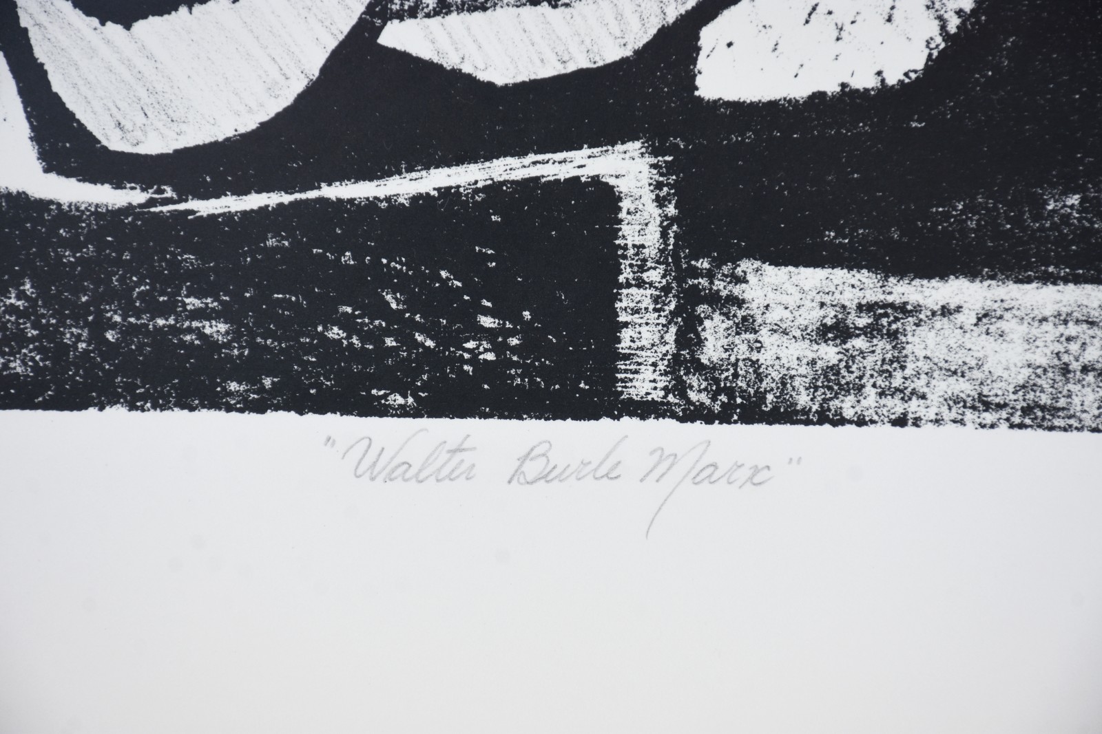Roberto Burle Marx (1909-1994), Walter Burle Marx - foto 5 de 6