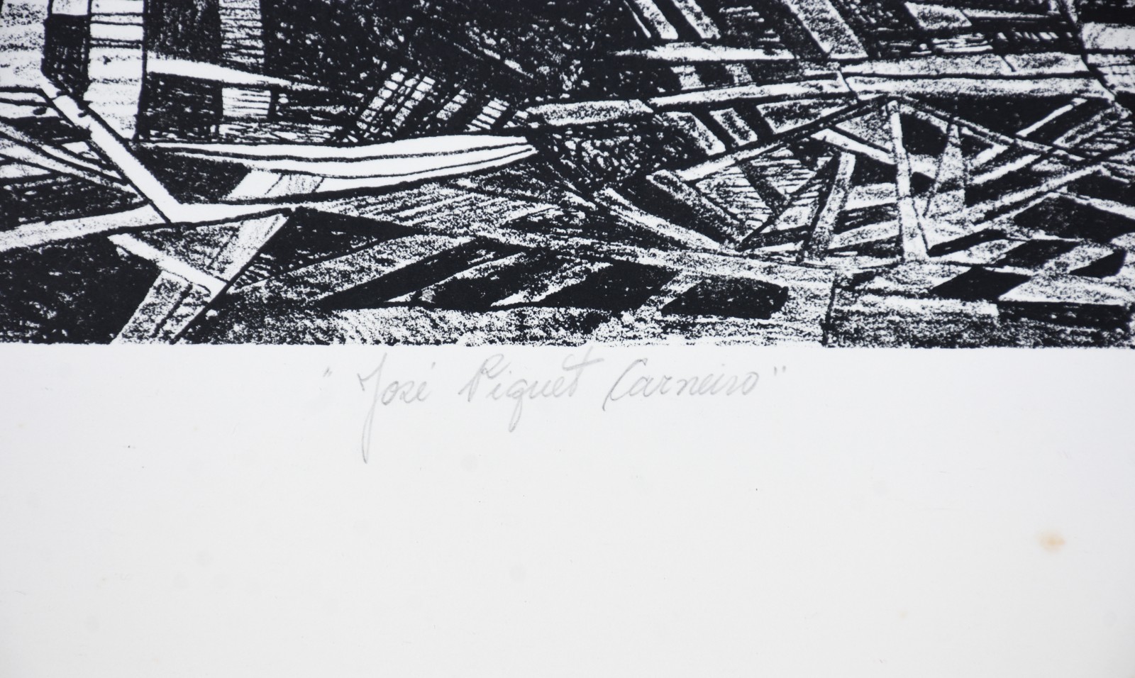 Roberto Burle Marx (1909-1994), José Piquet Carneiro - foto 3 de 6