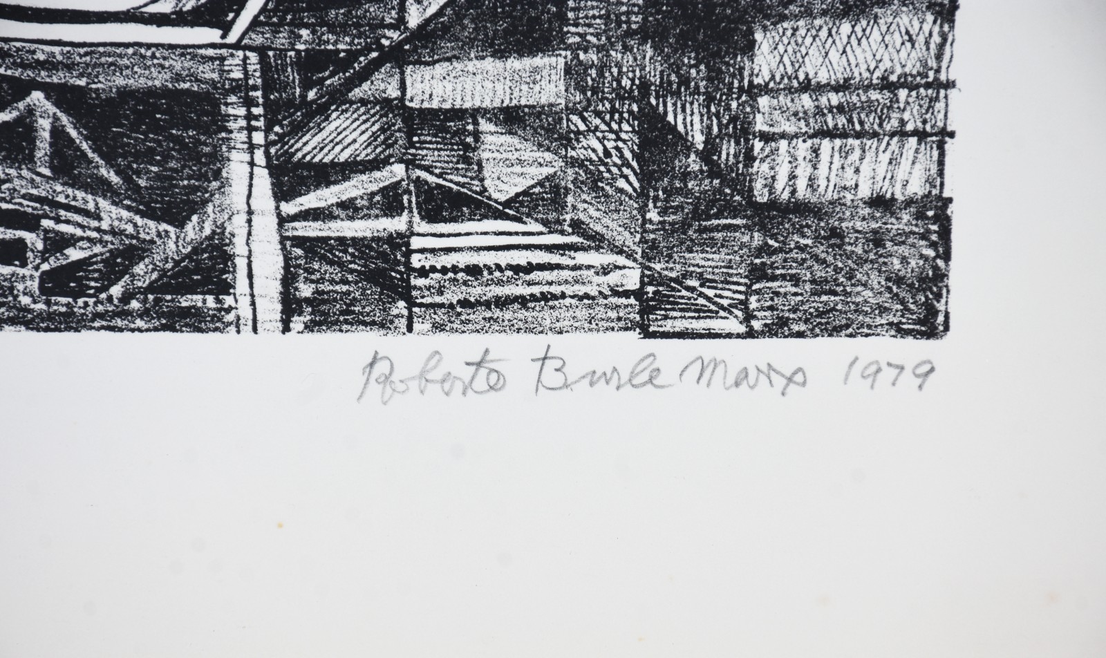 Roberto Burle Marx (1909-1994), José Piquet Carneiro - foto 5 de 6