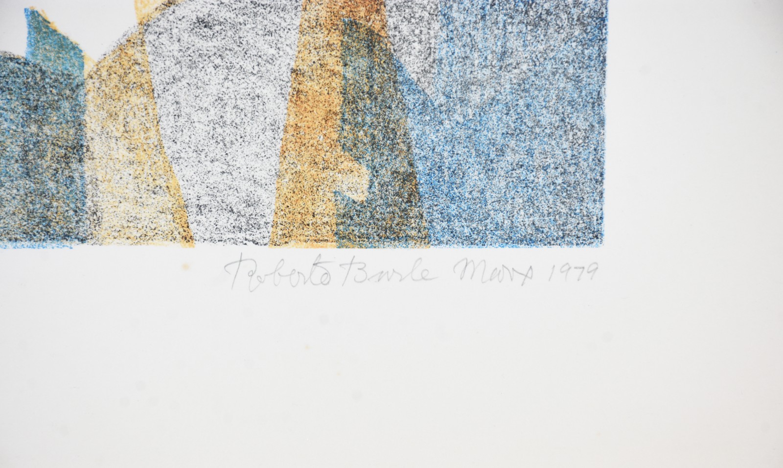 Roberto Burle Marx (1909-1994), Anna Piasek - foto 4 de 6
